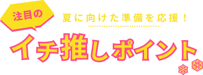 注目のイチ推しポイント