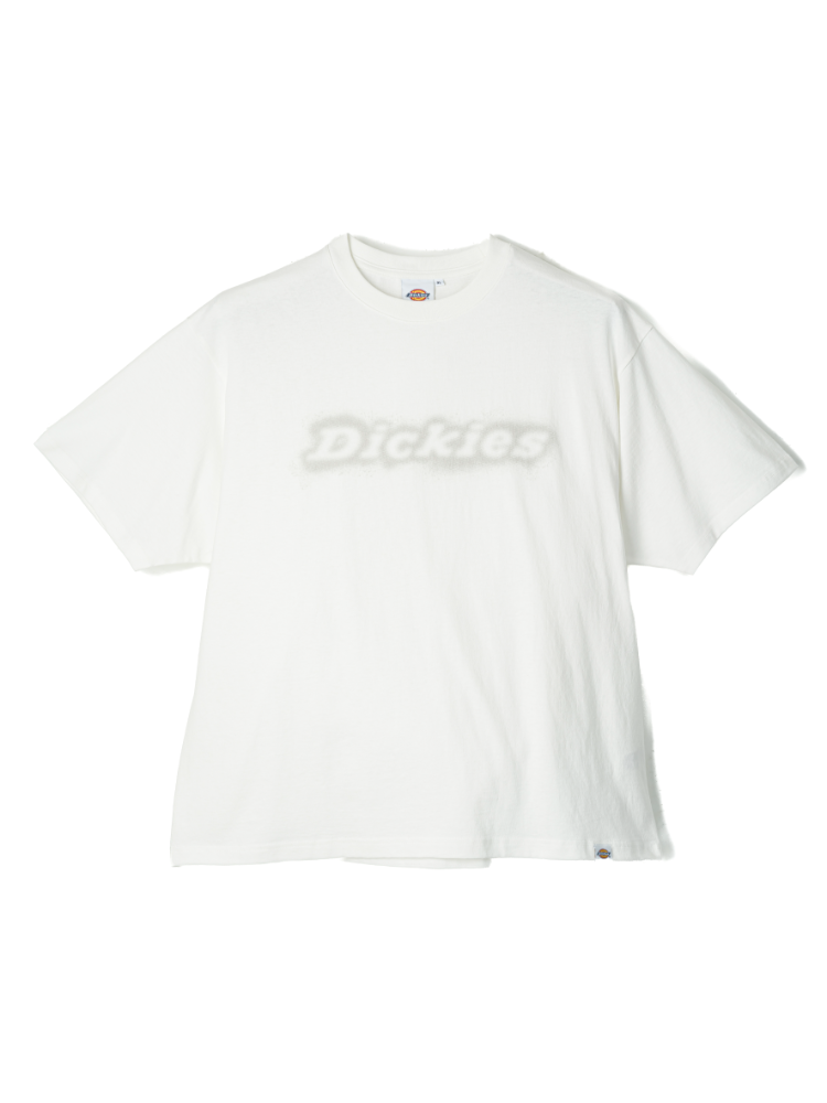 【DICKIES】FUZZYLOGOT-SHIRTS